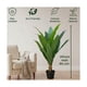 thumbnail image 4 of Planta Artificial Dracaena Hojas Largas 90 cm, 4 of 9
