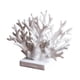 thumbnail image 2 of Centro De Mesa Costero Con Decoración De Coral Decoración Para El Hogar Estante Escritorio Dormitorio Blanco, 2 of 5