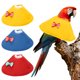 thumbnail image 1 of Collares para Aves Uxcell, Collar Cónico Protector de Recuperación, Conos Ajustables Suaves Anti-Mordeduras para el Cuello de Plumas (Amarillo/Azul/Rojo, M, 3 Piezas), 1 of 7