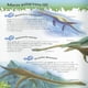 thumbnail image 2 of 501 preguntas y respuestas sobre dinosaurios, 2 of 6