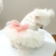 thumbnail image 4 of Nvzi -b Vestido Dulce para Cachorro, Lindos Vestidos de Princesa para Gato Falda para Perro para Perritas Pequeñas (A31,L), 4 of 4