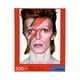 thumbnail image 1 of Puzle David Bowie Aladdin Sane 500 Piezas, 1 of 7