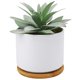 thumbnail image 1 of Plantas suculentas artificiales de agave Hopewood de imitación con macetas de cerámica, 1 of 8