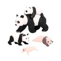 Magideal - Modelo De Ciclo De Vida De Animal Panda De 4 Piezas, Accesorios Para El Aula, Juguetes Educativos, Juguetes Cognitivos De Iluminación Para Niños, Niño Ciclo De Crecimiento Del Panda 4