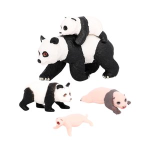 Magideal - Modelo De Ciclo De Vida De Animal Panda De 4 Piezas, Accesorios Para El Aula, Juguetes Educativos, Juguetes Cognitivos De Iluminación Para Niños, Niño Ciclo De Crecimiento Del Panda 4