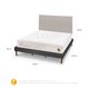 thumbnail image 3 of Cama Europea Curve Cocopedic King + Respaldo Tigris, 3 of 14