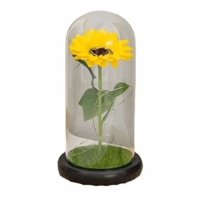 Genérico - Girasol Eterno Artificial Regalo