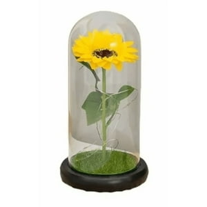 Genérico - Girasol Eterno Artificial Regalo