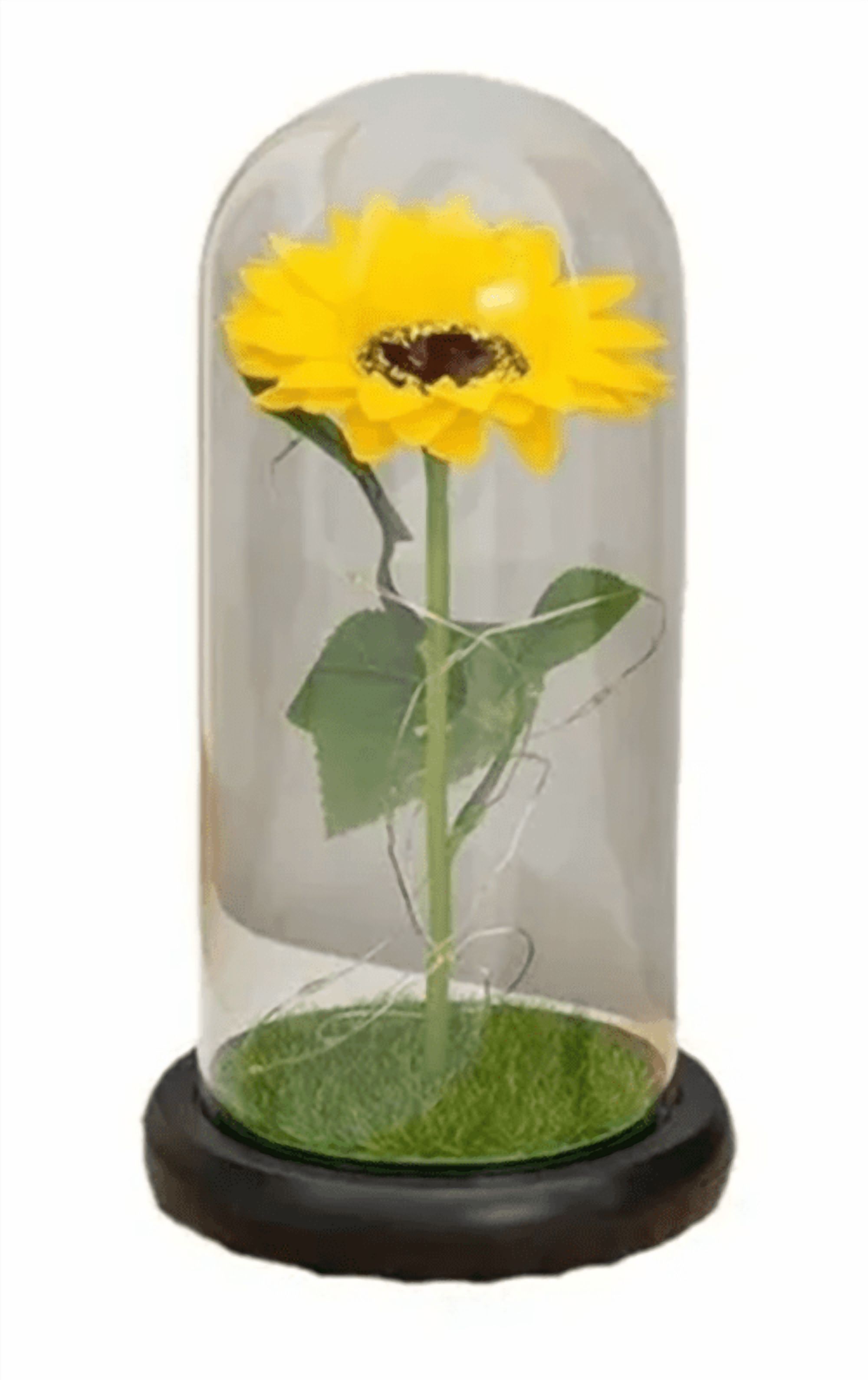 Genérico - Girasol Eterno Artificial Regalo