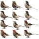 thumbnail image 1 of 2019 New-Arteificial Birds,12PC/Set Realistic Pluma Birds Artificial Foam Mini Birds on Clip Christmas Tree Decoation DIY Manualidades Garden Bird Onahombrests Home Fiestay Decoations (Multicolo), 1 of 7