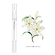thumbnail image 1 of Nail Treatment Cuticle Revitalizer Oil Prevent Agnail Nail Polish Softener Nutritional 6 Smells Nail Nutrition Oil Pen Manicure, 1 of 3