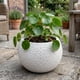 thumbnail image 2 of Macetero Plastico Redondo Tipo Piedra Decorativo Jardin M blanco, 2 of 10