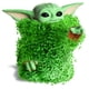 thumbnail image 3 of Maceta de cerámica decorativa Chia The Child Star Wars, 3 of 4