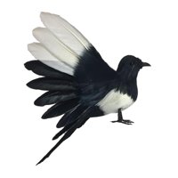 Magideal - -Pájaro De Simulación, Modelo De Plumas Artificiales, Figuras Decorativas De Pájaros Para El Hogar, Fotografía, Utilería, Patio, Decoración Del Hogar. Alas Extendidas De 18 Cm.