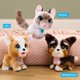 thumbnail image 5 of Furreal Wag-A-Lots Kitty, 5 of 5