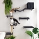 thumbnail image 4 of Estantería de pared para gatos FUKUMARU, pared de escalada de madera, gris, 4 of 9