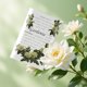 thumbnail image 4 of Saquitos perfumados Feel Fragrance Gardenia - 12 piezas, 4 of 8
