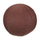thumbnail image 2 of Funda para Pelota de Yoga Y Pilates, Funda para Pelotas para Sentarse, Antiarañazos, a Prueba de Polvo, con Cómodas Asas de Transporte, Funda para Pel Café 65cm, 2 of 5