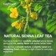 thumbnail image 4 of LeafLea Té de hojas de senna en bolsitas, 80 unidades, sin cafeína, 4 of 9
