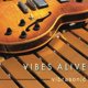 thumbnail image 1 of Vibrasonic Swingding – Sistema de pastilla para guitarra, 1 of 1
