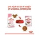 thumbnail image 4 of Royal Canin Kitten Instinctive Gato Pouch 85g Unidades | Pack 12 Sobres, 4 of 8