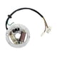 thumbnail image 5 of Accesorio De Placa De Estator De Magneto De Encendido De Bobina Compatible Con Yamaha PW80, 5 of 5