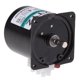thumbnail image 3 of 60KTYZ 220V 5RPM Motor síncrono eléctrico magnético permanente 14W, 3 of 5