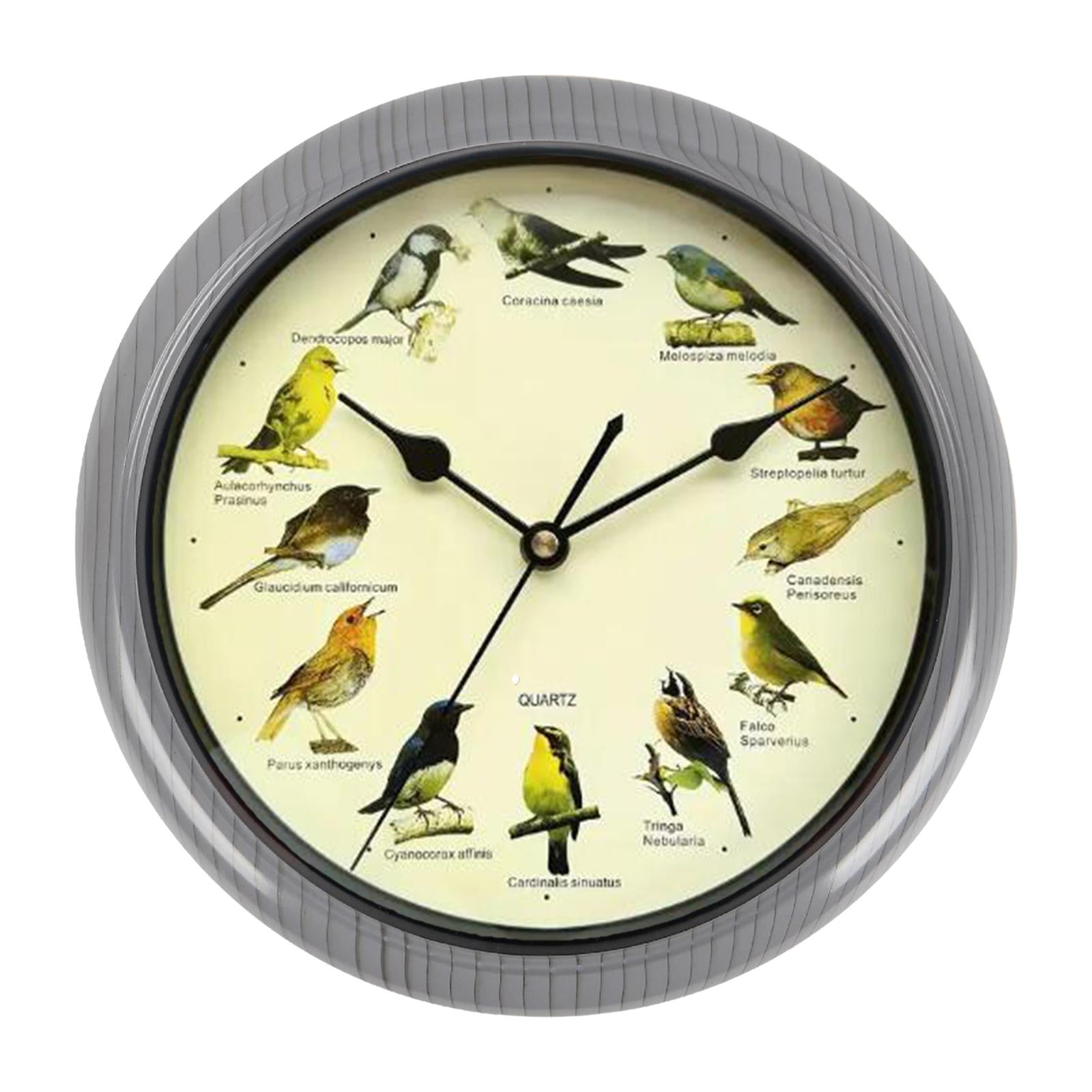 Magideal - Reloj De Pared Con Pájaro Cantor, Decoración De Habitación, Reloj De Melodía Versátil, Funciona Con Pilas, Para Bares, Cafeterías, Regalo De Inaugurac Gris 32cm