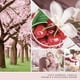 thumbnail image 3 of Vela aromática, 3 of 3