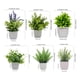 thumbnail image 2 of 6pzs Plantas Flores Artificiales Macetas Decorativas Bonsai, 2 of 10