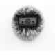 thumbnail image 2 of Paraviento LEFXMOPHY para DJI Mic Mini 2024, 2 of 3
