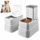 thumbnail image 1 of Alimentador elevado automático para mascotas VE ThalasynTech, capacidad 4.4 lb/3.8 L, 1 of 7