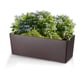 thumbnail image 1 of Jardinera autorregante Angélica W50 + KIT Colgar, 1 of 3