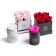 thumbnail image 3 of Flores preservadas, rosas en una caja, Soho Floral Arts, color blanco y rosa, 3 of 6