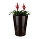 thumbnail image 1 of Macetero para Plantas 38 X 57, 1 of 1