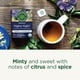 thumbnail image 3 of Tea Traditional Medicinals Organic Nighty Night, 16 bolsitas de té, 3 of 7