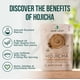 thumbnail image 3 of Hojicha en polvo orgánico, hoja de jade, matcha barista, 454 g, 3 of 7