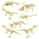 thumbnail image 1 of 7 Modelos De Esqueleto De Dinosaurio Triceratops Juguetes De Aprendizaje Para Cumpleaños Para Niños, 1 of 5