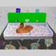 thumbnail image 4 of Caja de arena pcprbfk 56x34x11 cm Área de cocina para cuyes - Blanco, 4 of 7