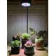 thumbnail image 4 of Luz LED HIRO AQUATICS 9W de Espectro Completo con Bambú, 4 of 6