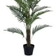 thumbnail image 2 of Planta Decorativa Palma Areca 120 Cms., 2 of 4