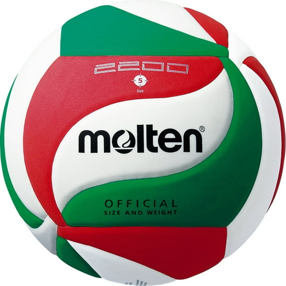 Balon Voleibol V5M2200
