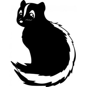 Rienda Libre Graphics - Decomural Skunk Wild Animals Ws-32912