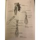 thumbnail image 4 of Libro W. H. Freeman Atlas de Anatomía Comparada, 4 of 6