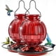thumbnail image 1 of Comedero para colibríes de vidrio Grete Gotye 750 mL, paquete de 2, rojo, 1 of 8