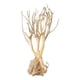 thumbnail image 3 of Acuario Ecológico Acuático Driftwood Raíz Tronco árbol Rama Terrario Decoración 25-30CM, 3 of 5