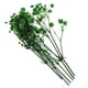 thumbnail image 3 of Hojas prensadas Flores secas naturales Tarjetas Scrapbooking haciendo verde, 3 of 5