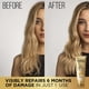 thumbnail image 2 of Acondicionador Pantene Miracle Rescue Deep Melting Pro-V 240 ml, 2 of 3