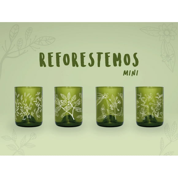 Mini Reforestemos Juego de 4 Vasos verde
