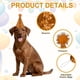 thumbnail image 3 of Sombrero de Cumpleaños para Perros Uxcell, Sombreros Pequeños para Perros Gatos Sombrero de Fiesta de Cumpleaños con Pompones Decoración Ajustable (Oro Oscuro, 2 Piezas), 3 of 7